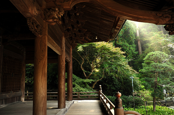 1110 kamakura2 DSC_7961.jpg